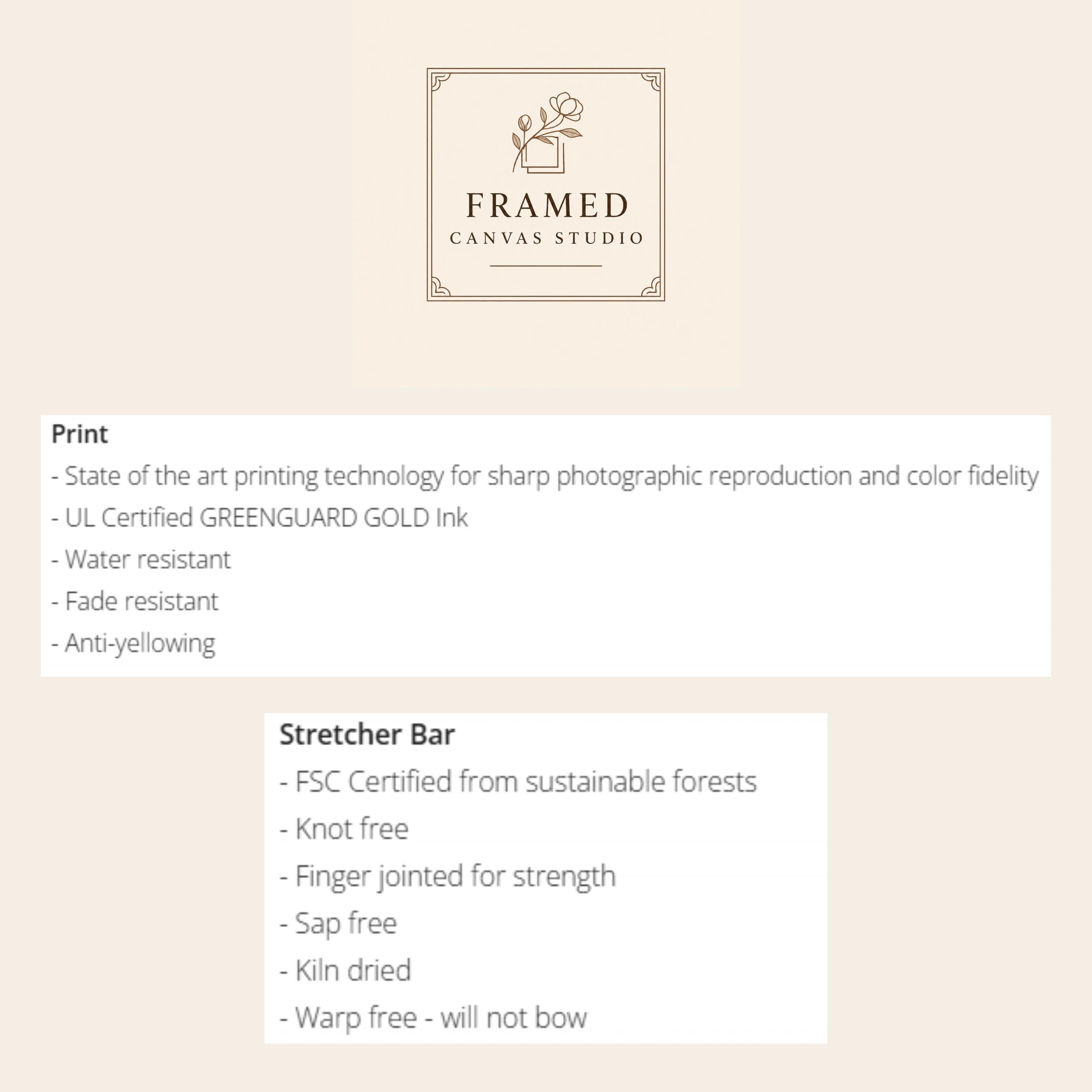 Steampunk Airship Framed Canvas Art