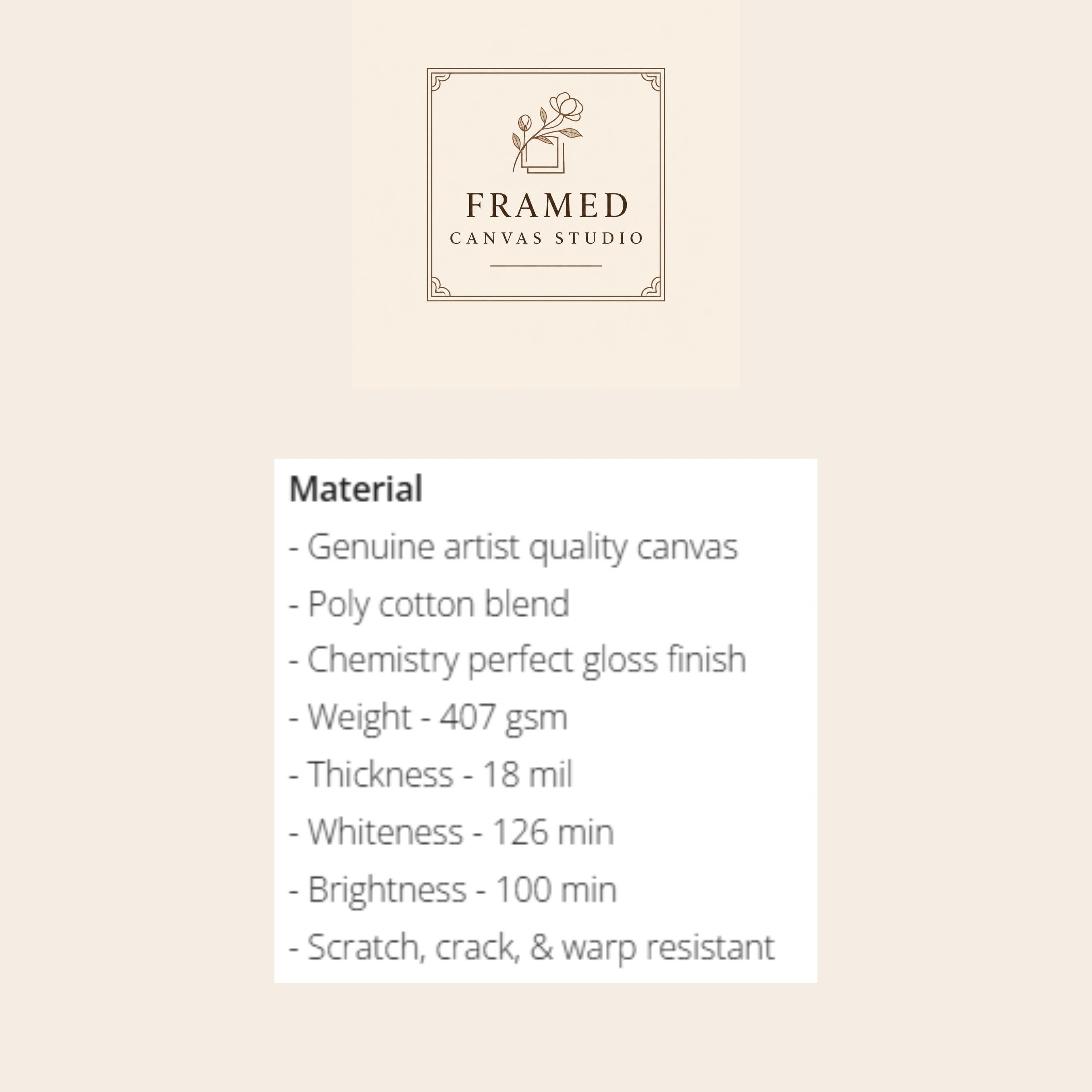 White Tiger Floral Framed Canvas