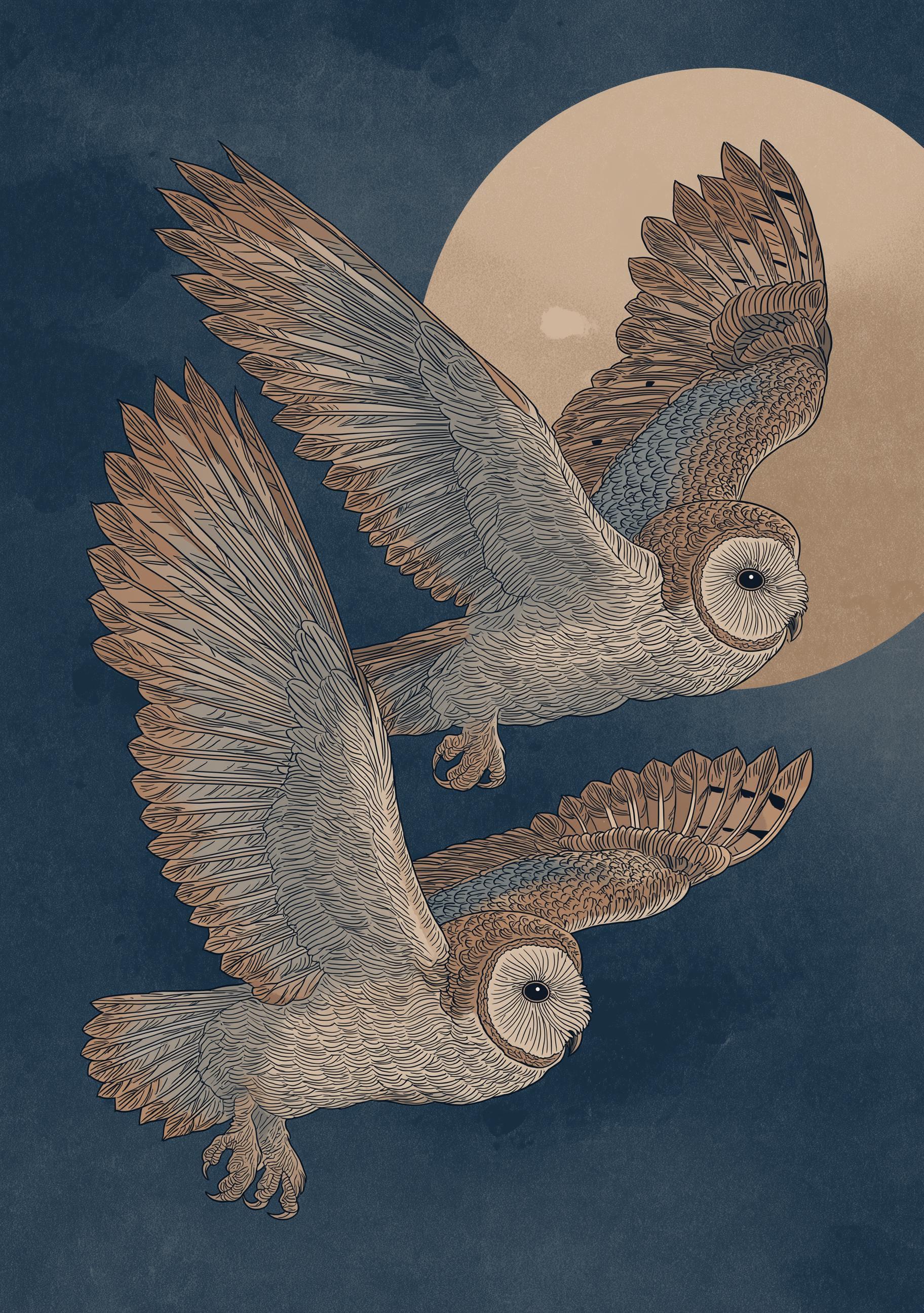Japanese Style Owl Ukiyo-e Inspired Night Moon Wall Art by The Wall Art Studio