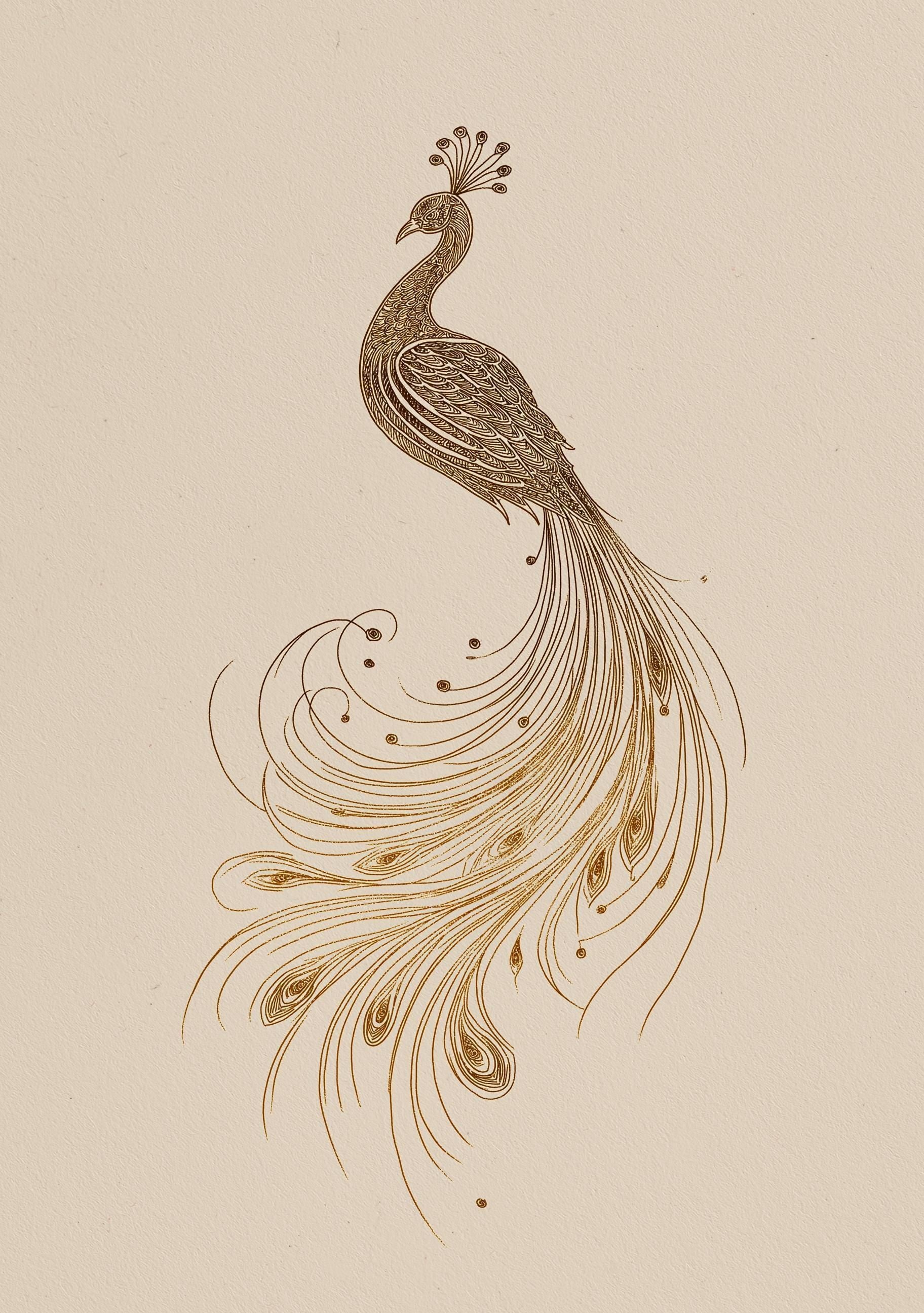 Minimalist Peacock Line Art Elegant Gold Bird Wall Art by The Wall Art Studio - physical