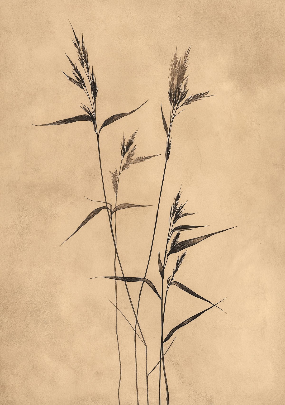Wabi Sabi Botanical Neutral Minimalist Japandi Beige Wall Art