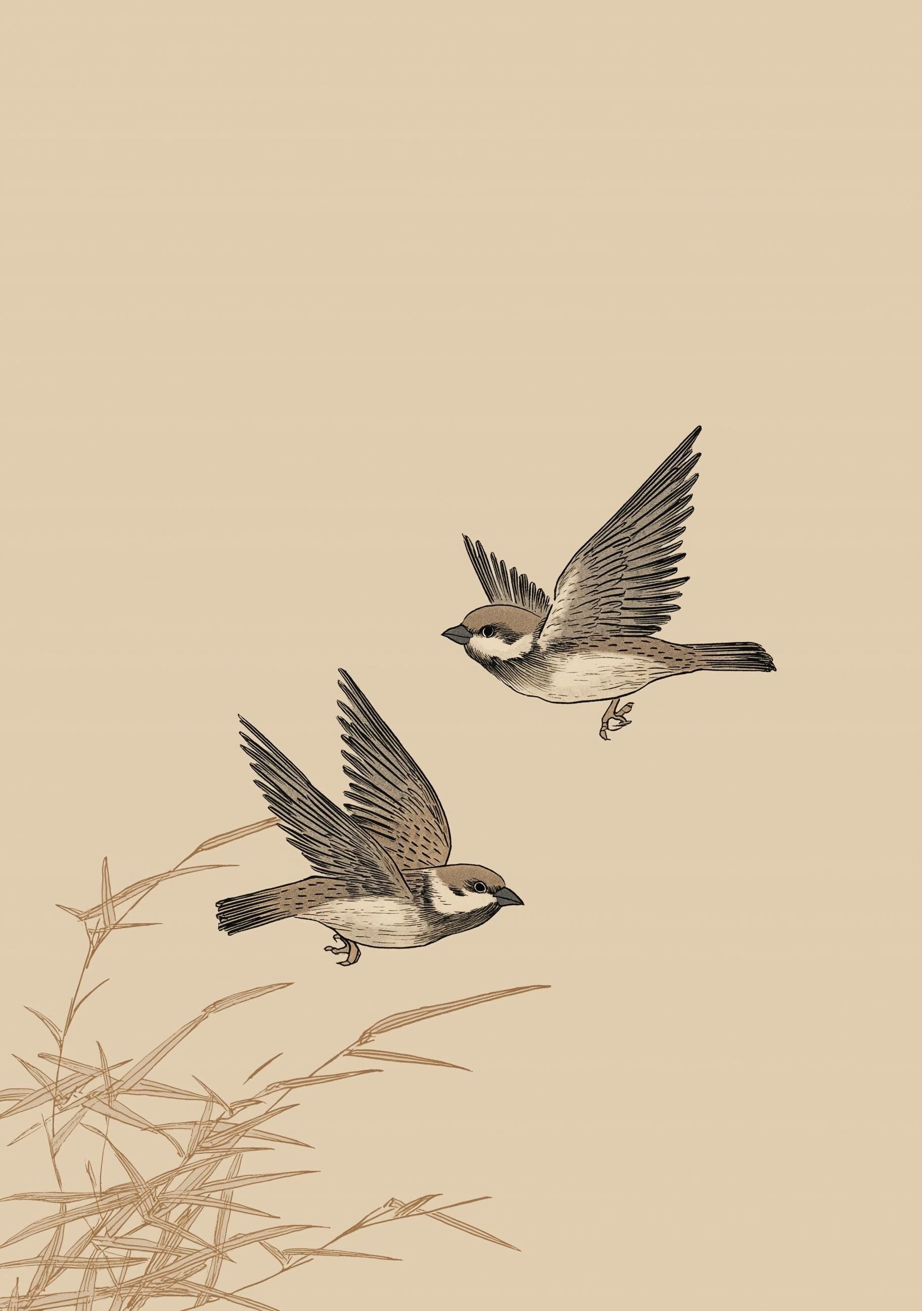 Japanese Sparrow Ink Minimalist Japandi Wall Art by The Wall Art Studio