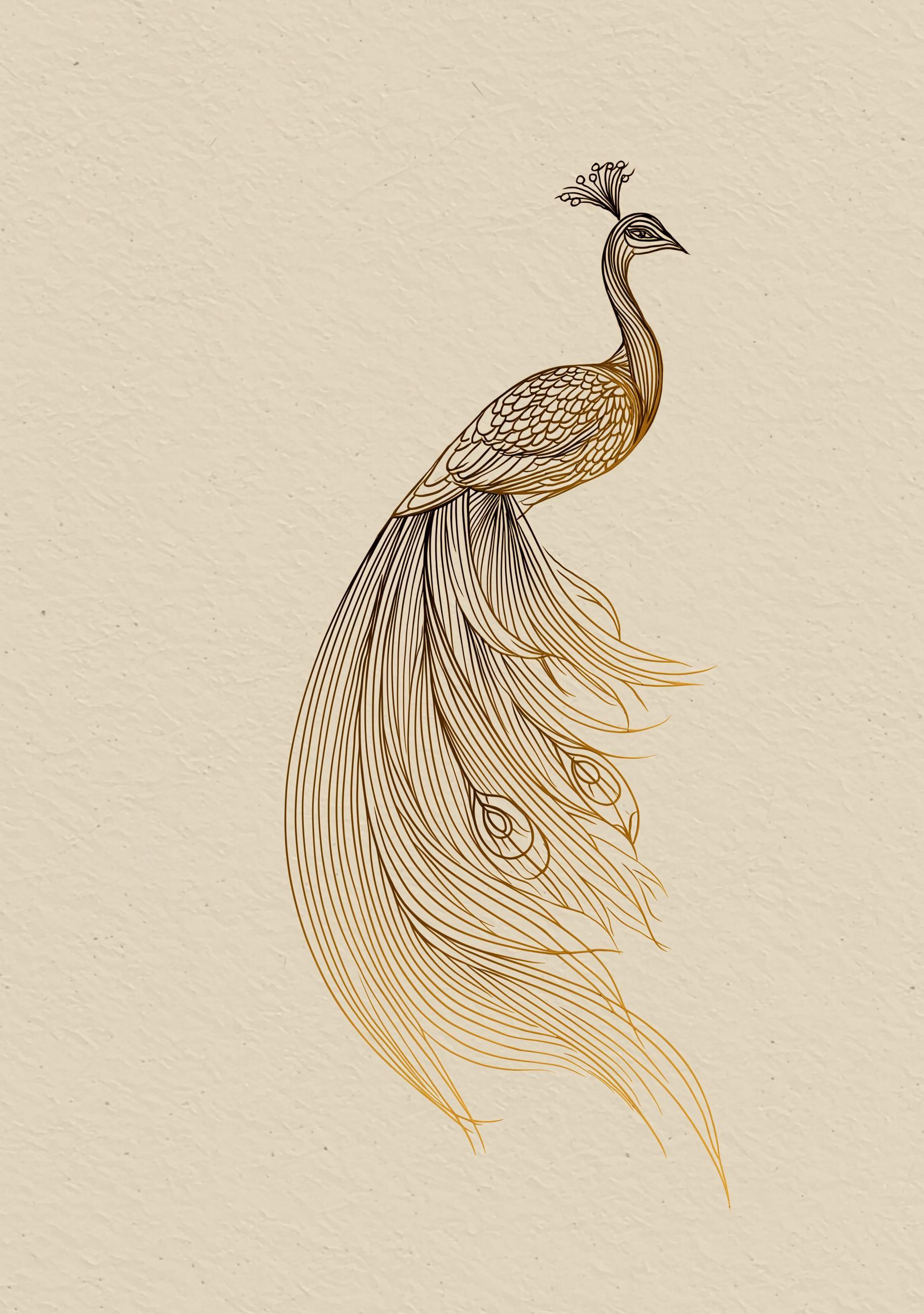 Minimalist Peacock Line Art Elegant Gold Bird Wall Art by The Wall Art Studio - physical