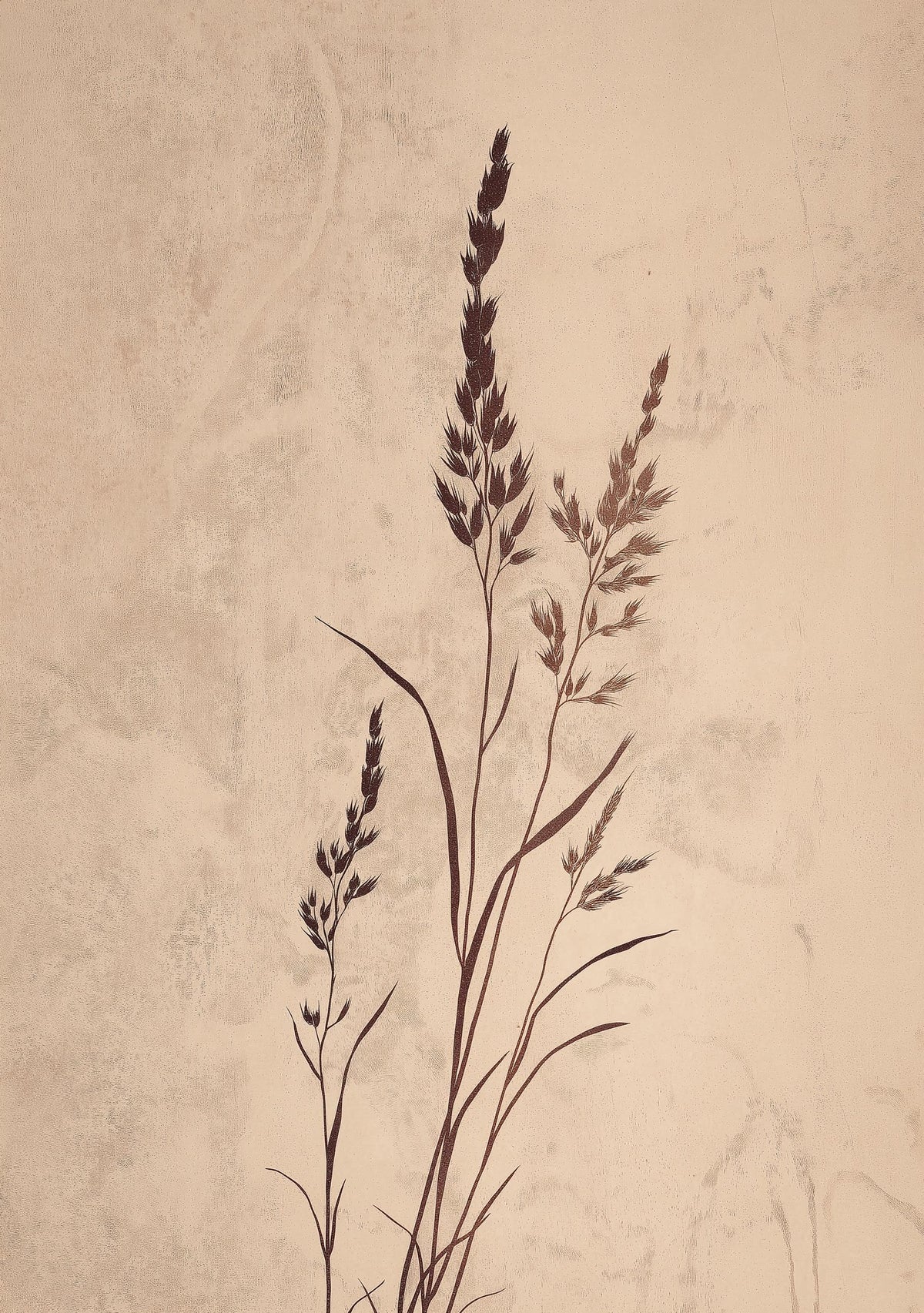 Wabi Sabi Botanical Grass Neutral Minimalist Japandi Beige Wall Art