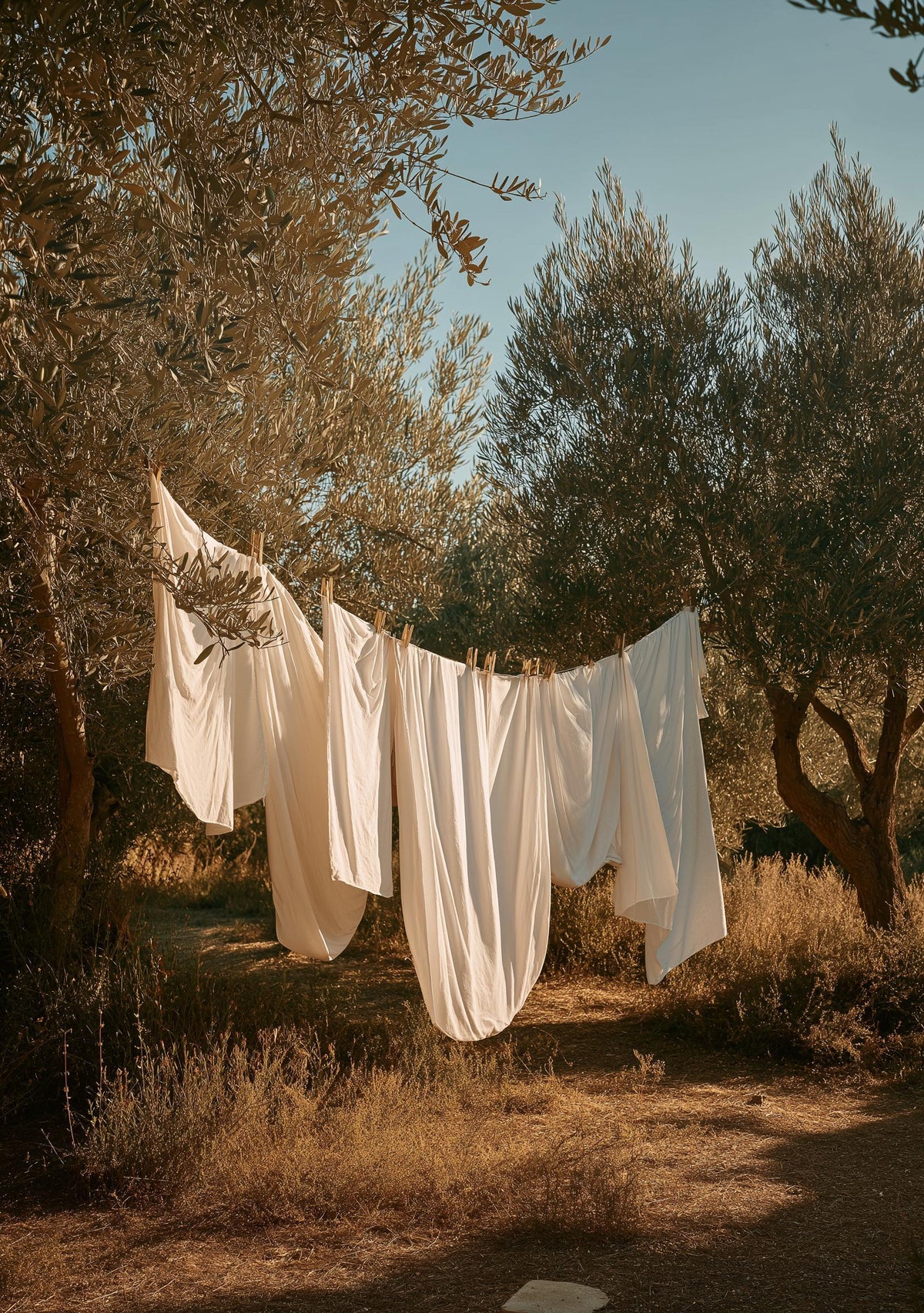Neutral Laundry Room Wall Art Print, Mediterranean Olive Grove Decor, Moody Linen Photography, Rustic Farmhouse Laundry (F...