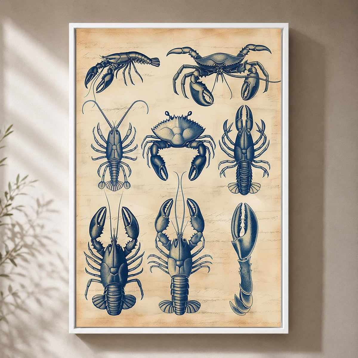 Vintage Seafood Anatomy Framed Canvas, Coastal Lobster Crab Nautical Wall Art by The Wall Art Studio - physical